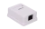 WRline WR-WS-8P8C-C5E-1 Розетка компьютерная RJ-45, категория 5e, неэкранированная, одинарная, внешняя, Dual IDC, цвет белый