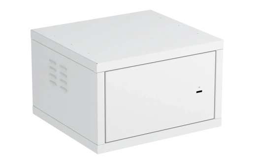 Шкаф антивандальный настенный ШАН-Э 19" 6U(600*550) ССД
